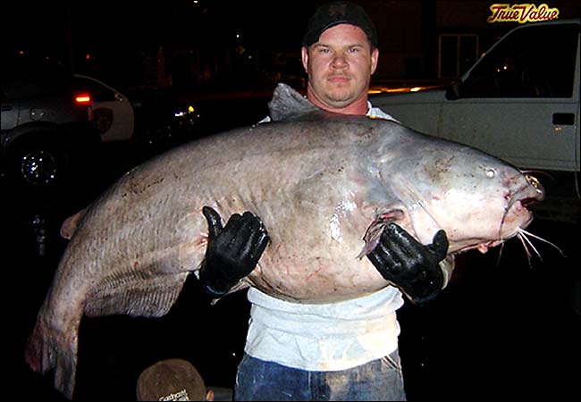 World Record Flathead Catfish